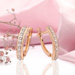 Rotgold 585 Ohrringe Zirkonia