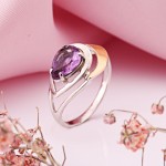 Silberring mit Gold in Deutschland kaufen Amethyst