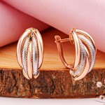 Goldohrringe bicolor 585