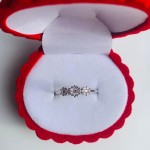 Silberring 925 Zirkonia kaufen